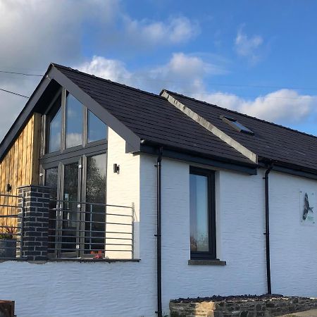 Red Kite Cottage Carmarthen Luaran gambar