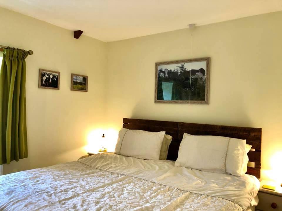 Red Kite Cottage Carmarthen Luaran gambar