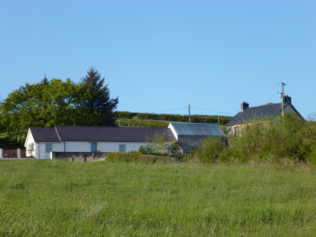Red Kite Cottage Carmarthen Luaran gambar