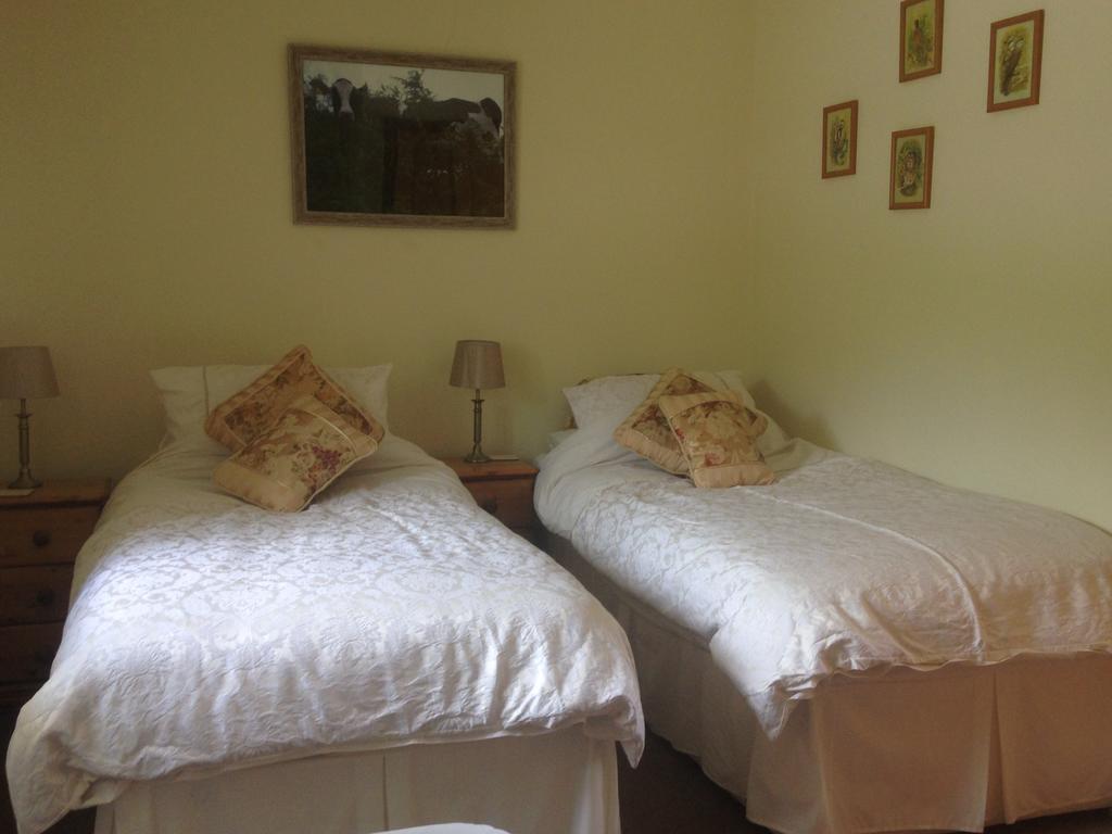 Red Kite Cottage Carmarthen Luaran gambar